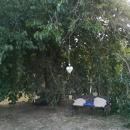 Araba Phoenix Casa rural