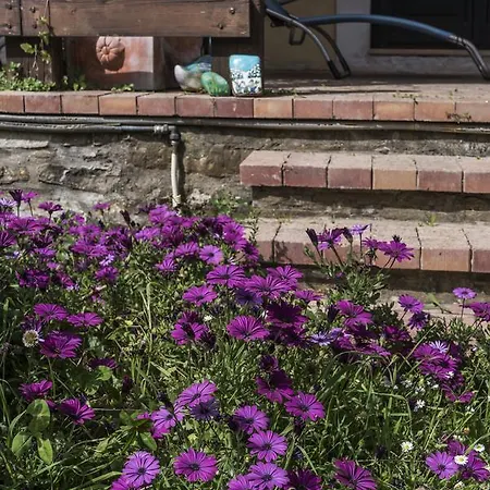 Casa rural Araba Phoenix Castellabate