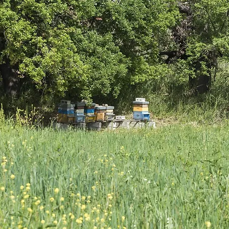 Araba Phoenix Casa rural