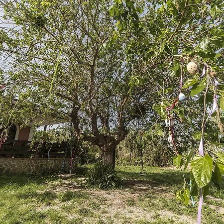 Country house Araba Phoenix Castellabate